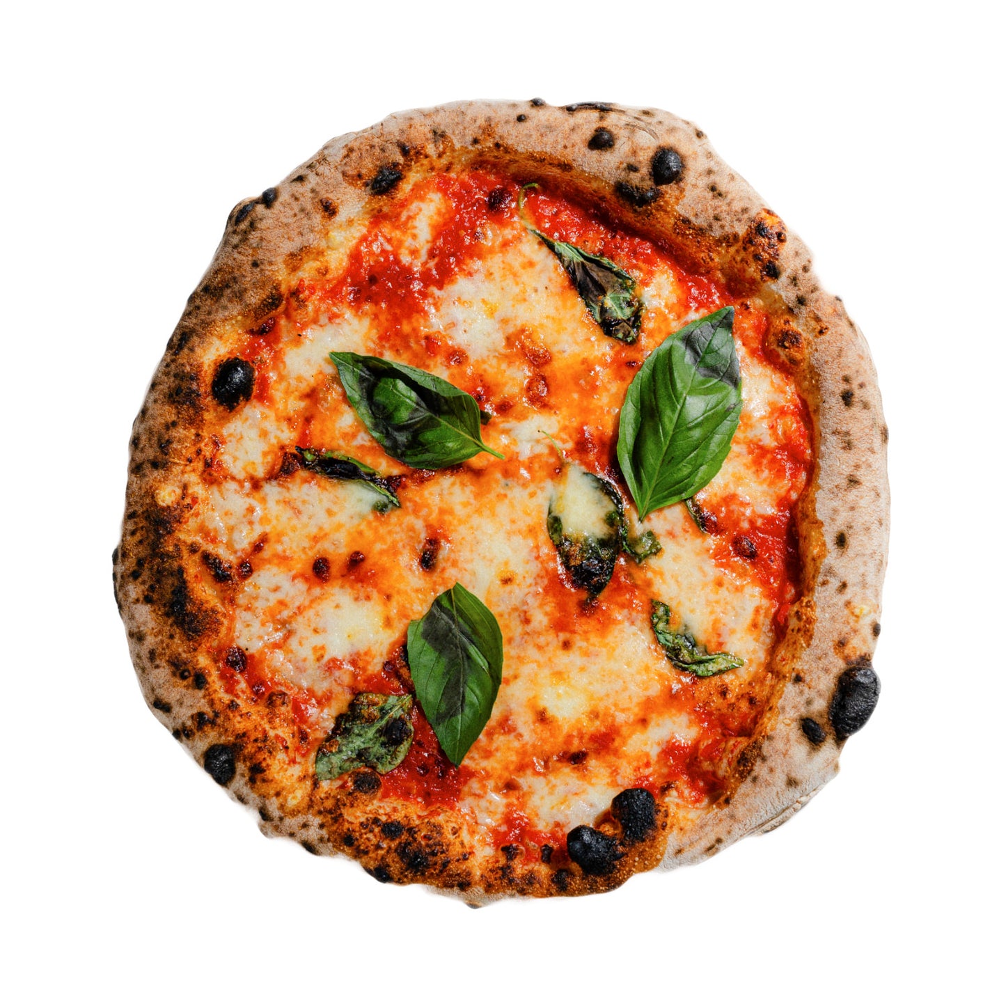 5x Margherita
