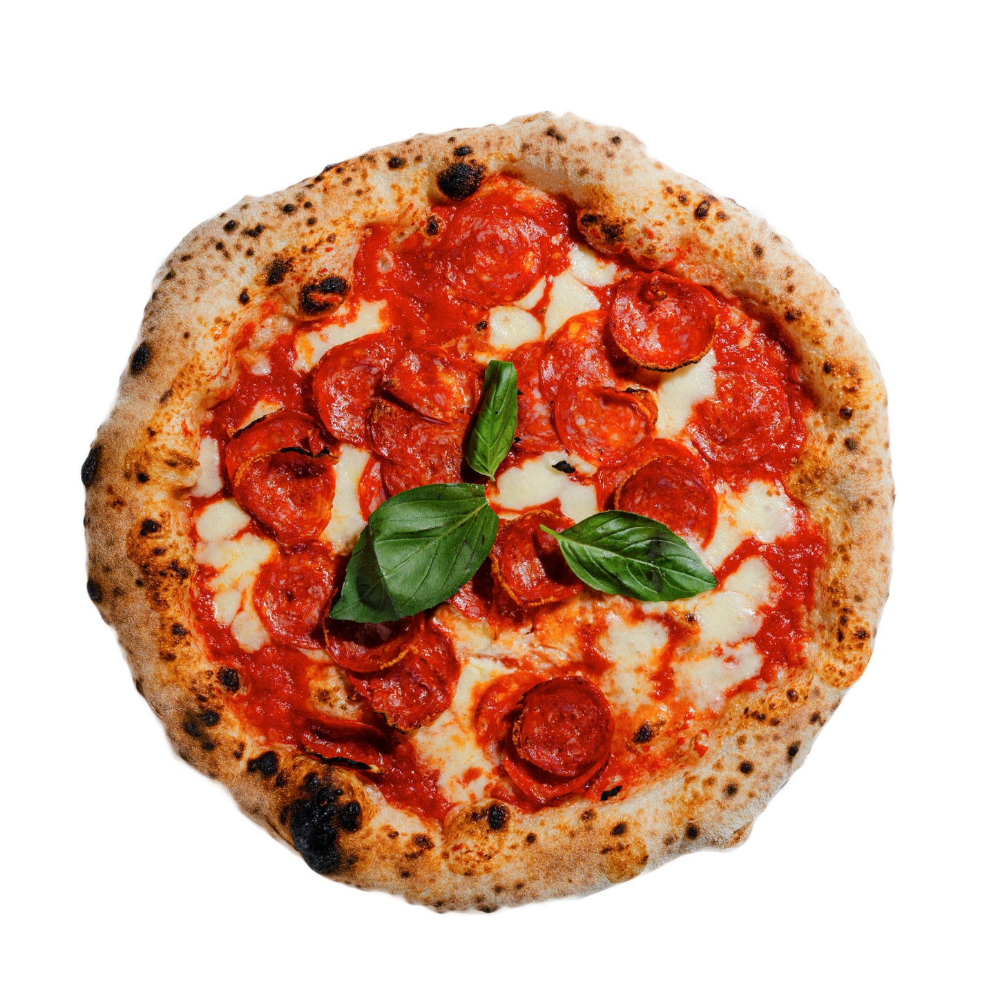 5x Spicy Salami